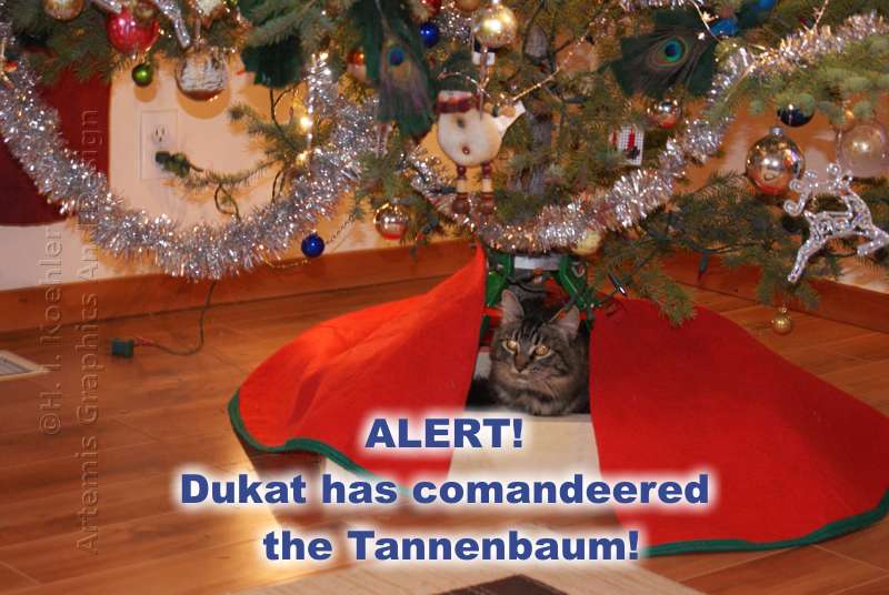 Commandeered Tannenbaum