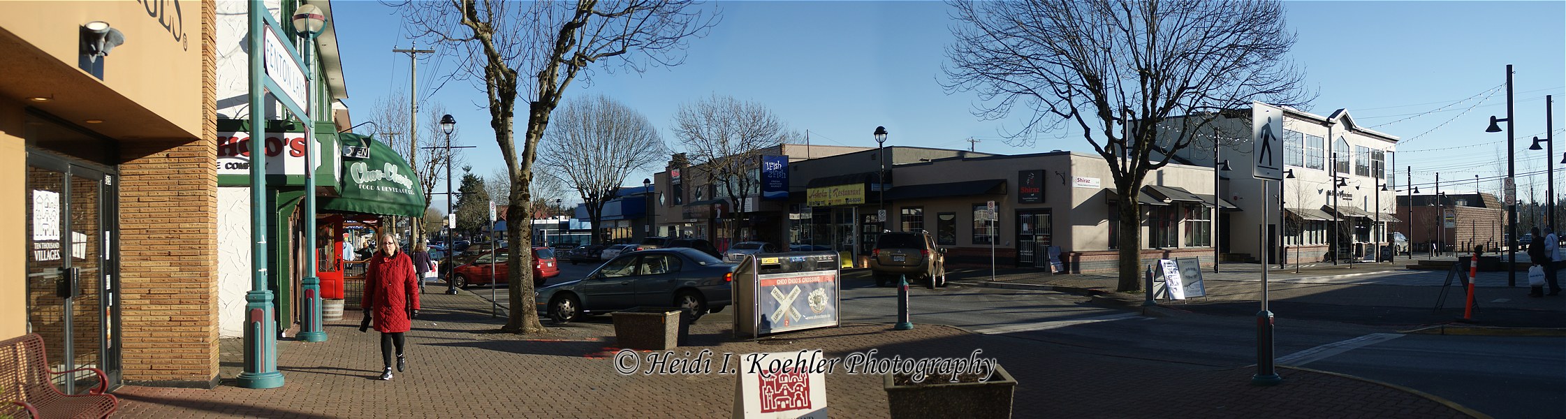 2014-01-31-Langley-Fenton-Lane-pano