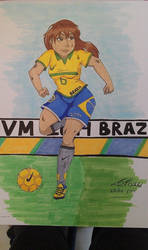 VM Brazil 2014