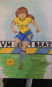 VM Brazil 2014