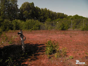 Old tennis court 1