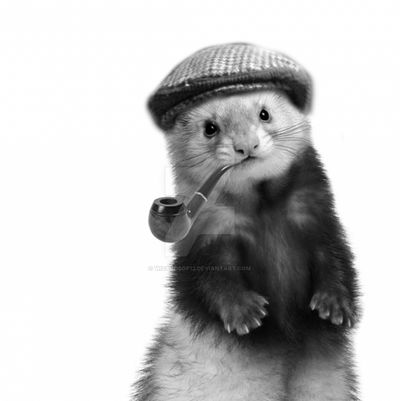The Yorkshire ferret, composite by WizardsOf12 on DeviantArt