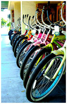 bikes in a row