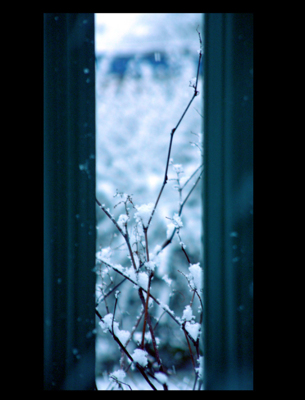 Snow through the bars by daemon-spyder