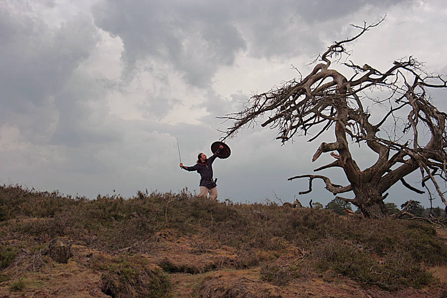 The Dragon tree 2 by Dewfooter