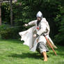 Crusader 30