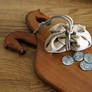 Coins and pouch