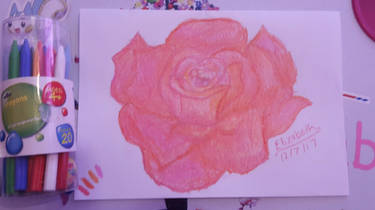 Rose drawn using wax crayons