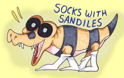 SOCKS with SANDILES