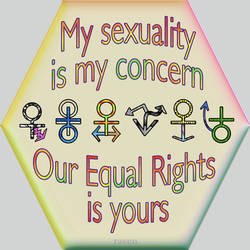 My Sexuality Button by raven-haven-creation