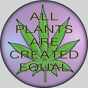 All Plants are Created Equal