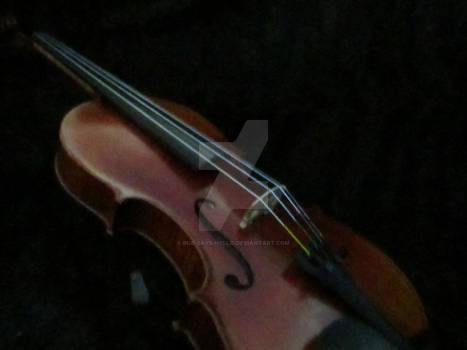 Violin #10