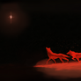 The Star