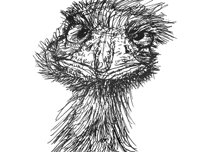 Emu