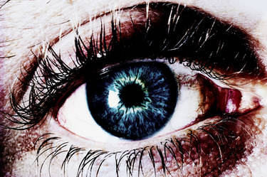 Eye