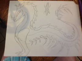 Dragon concept wip