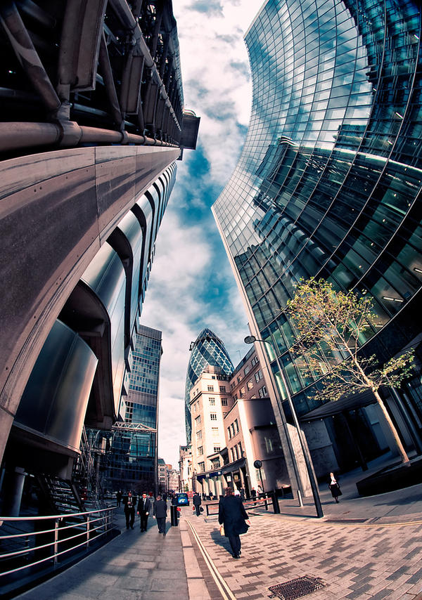 Fishy Lloyd's