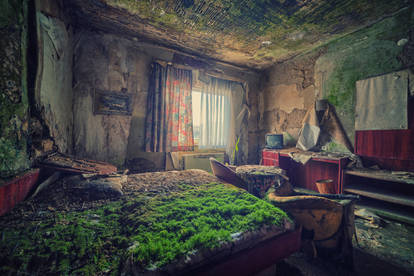 A Bed of Moss II