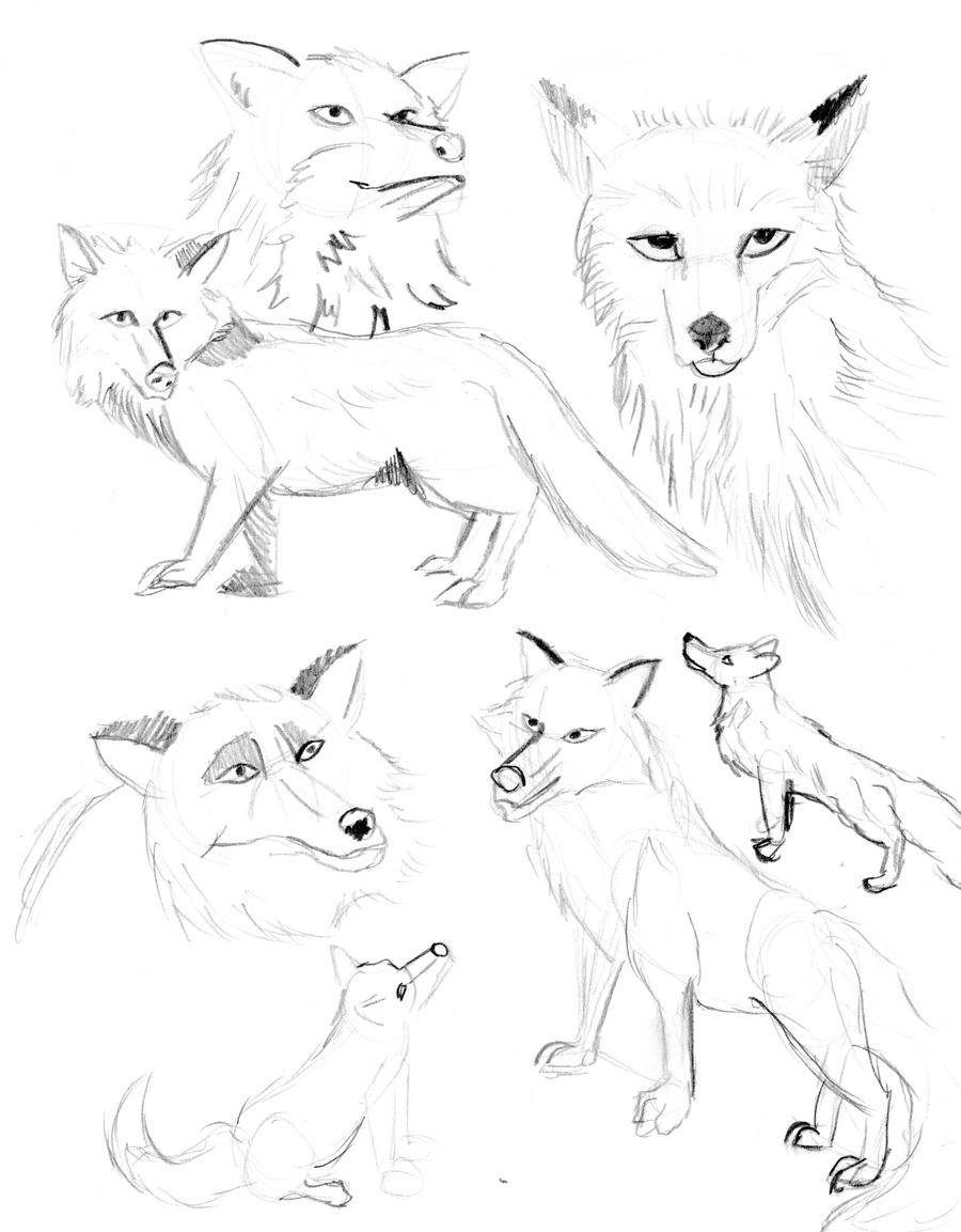 Fox Doodles 1 By Samoht Lion On DeviantArt Fox doodles 1 by samoht lion on deviantart
