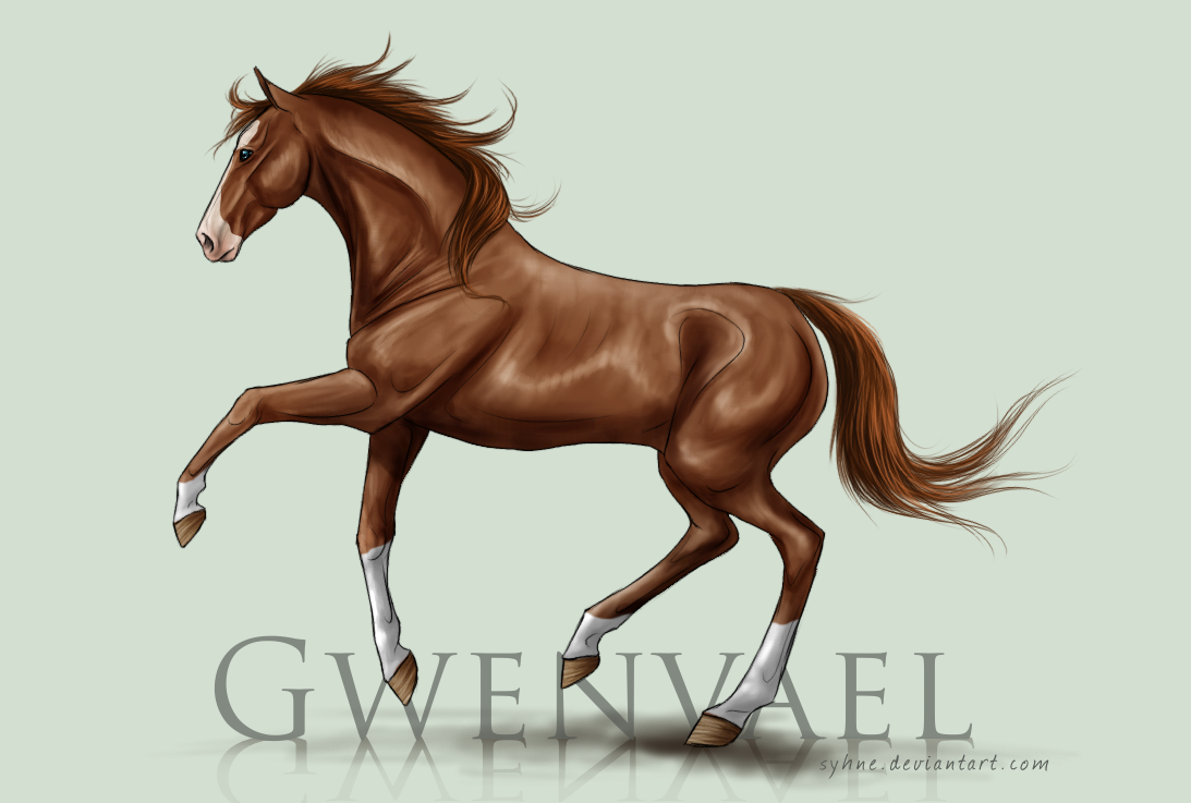 Bel's Gwenvael