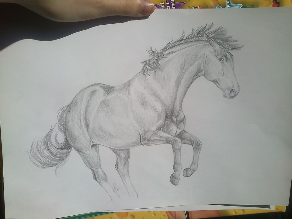 Traditional Horse Drawing june '13