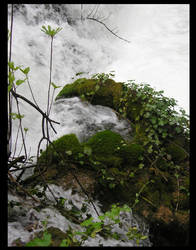 Hvr-Moss covered rocks