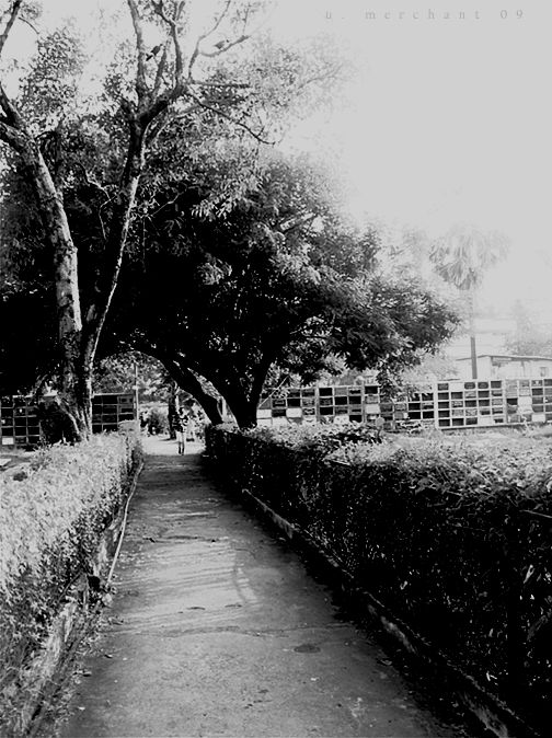 grave path by dinosawrawr on DeviantArt