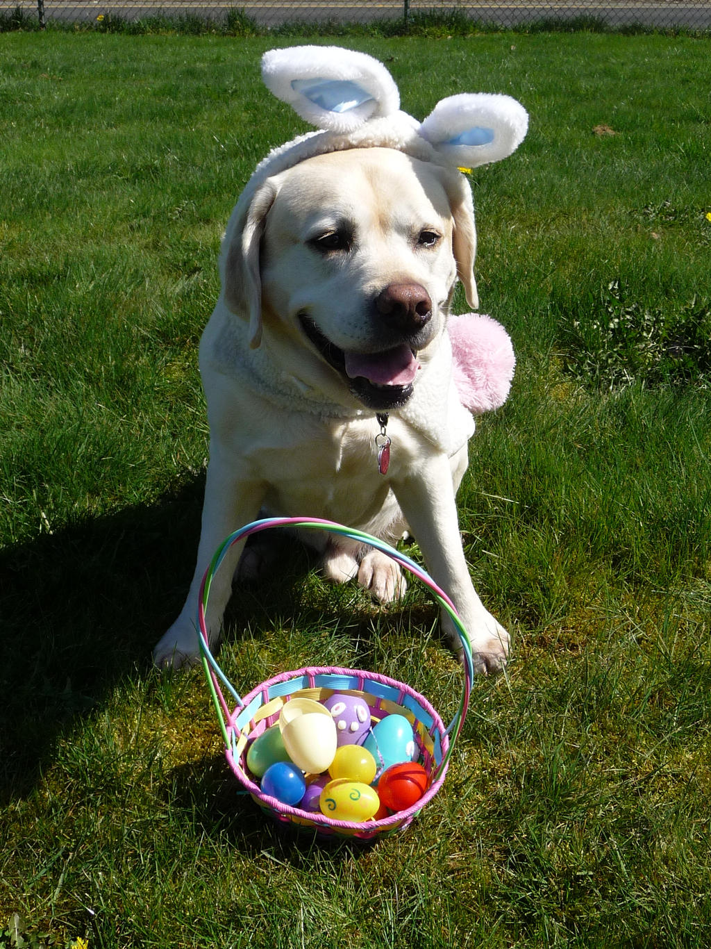 easter cooper 2012