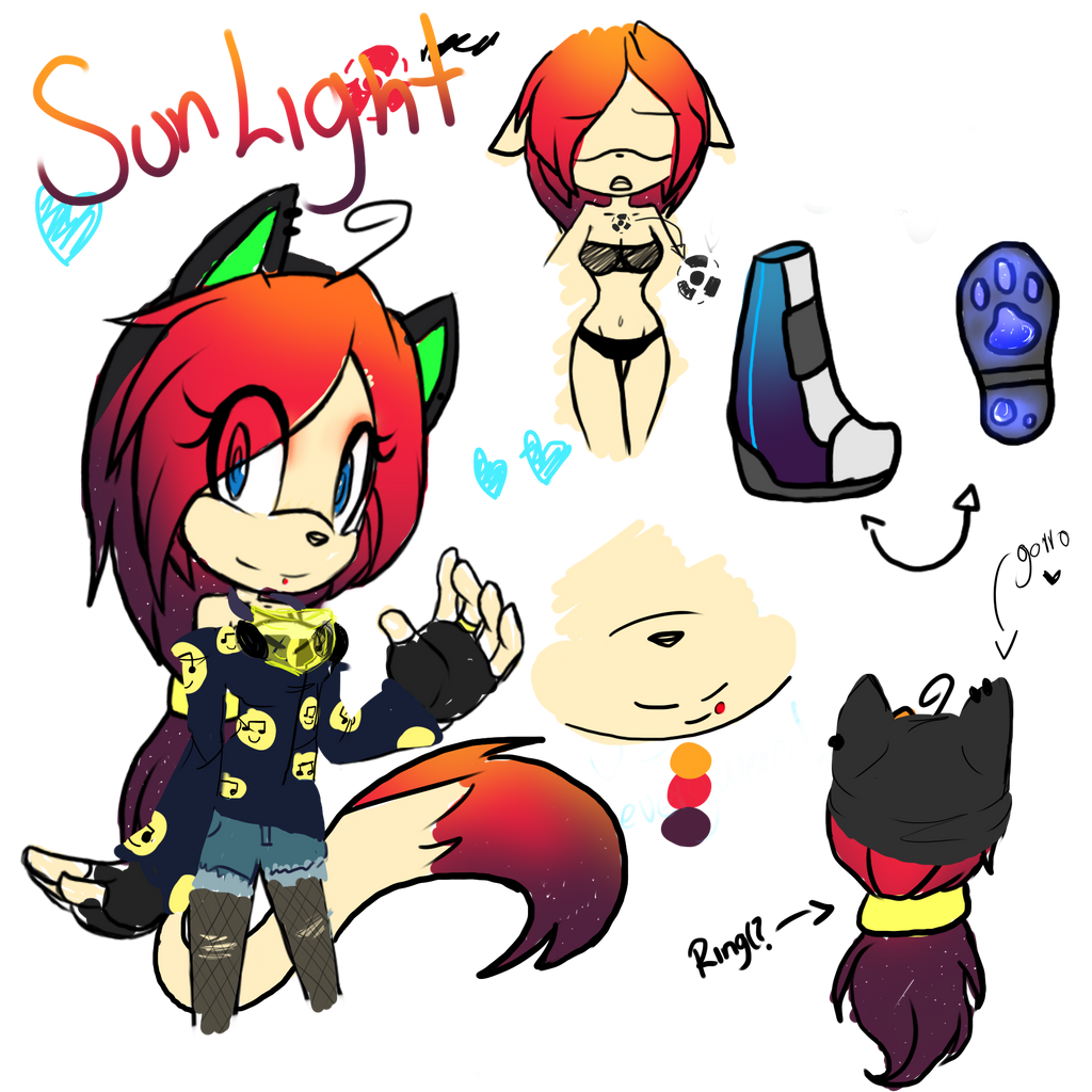 Sunlight the cat