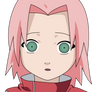 Young Sakura [vector]