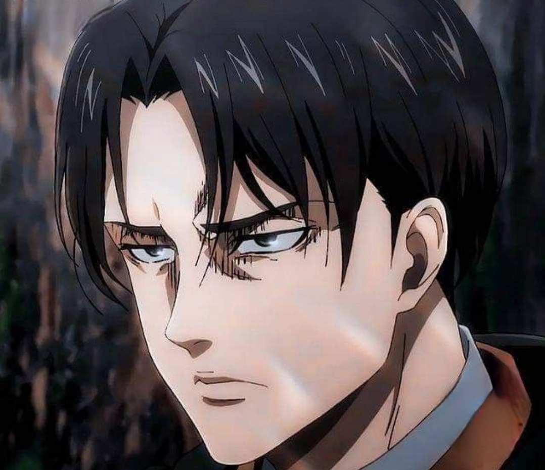 Levi Ackerman, icons in 2023