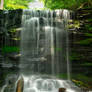 Rickett's Glen 33