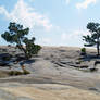 Stone Mountain 16