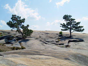 Stone Mountain 16