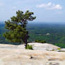 Stone Mountain 21