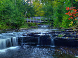 Ricketts Glen State Park 8