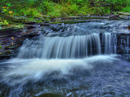 Ricketts Glen State Park 9