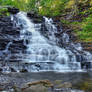 Ricketts Glen State Park 13