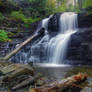 Ricketts Glen State Park 18