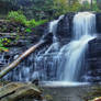 Ricketts Glen State Park 19