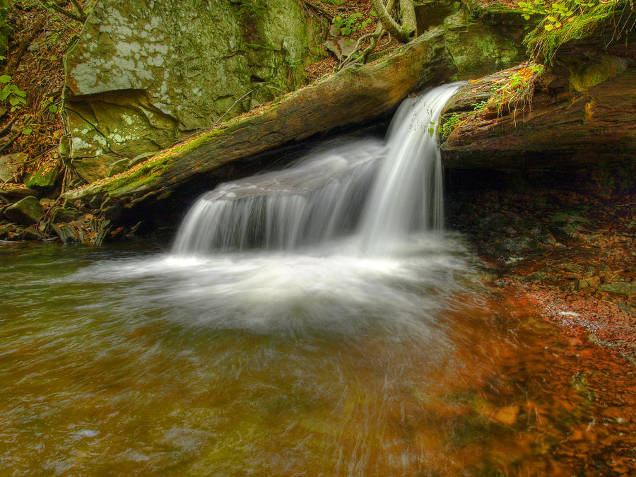 Ricketts Glen State Park 42