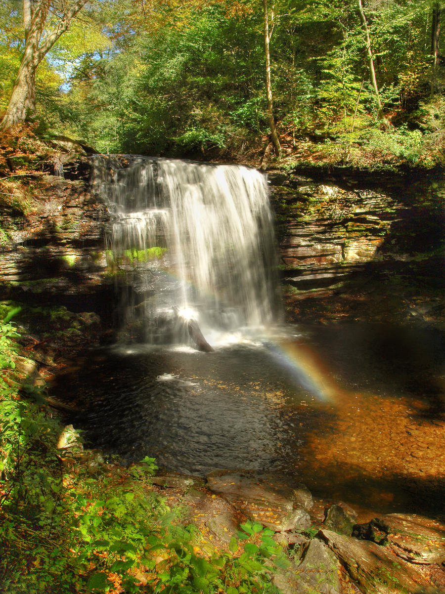 Ricketts Glen State Park 48