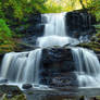 Ricketts Glen State Park 63