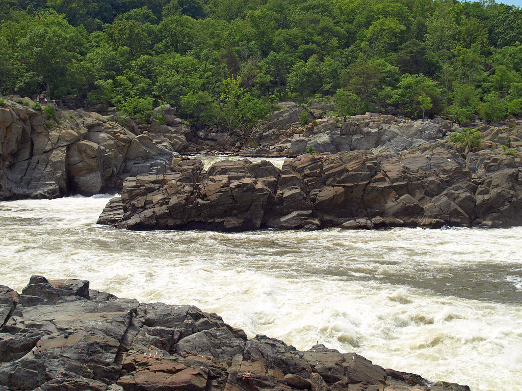 Great Falls of the Potomac 43
