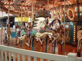 Dracoart-Stock Carousel