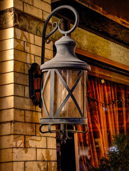 Lantern Light