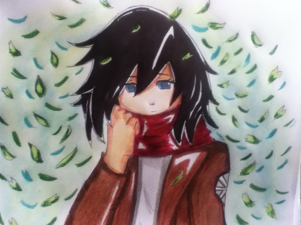 mikasa