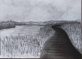 The Lake - charcoal drawing