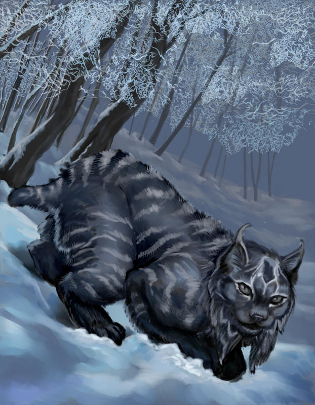 Shadowcat by VVjonez on DeviantArt