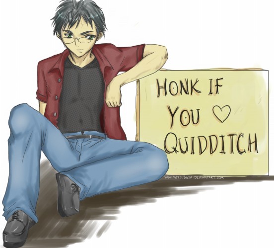 Honk 4 Quidditch